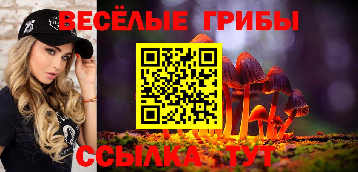 Галлюциногенные грибы Magic Shrooms Владикавказ