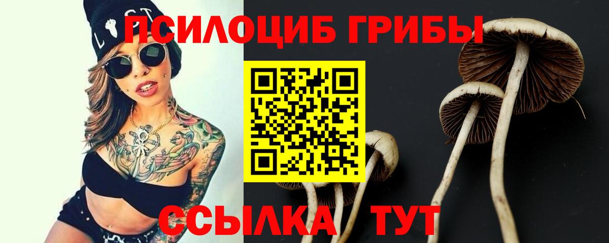 Галлюциногенные грибы Cubensis  Вход с VPN  Владикавказ 